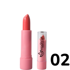 Labial Magico Endiviia 02