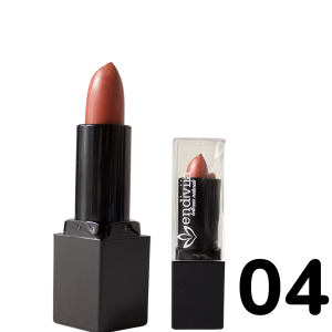 Labial Endiviia Velvet Mate 04