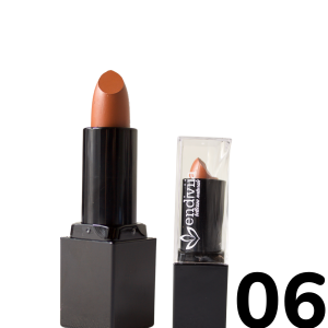 Labial Endiviia Velvet Mate 06